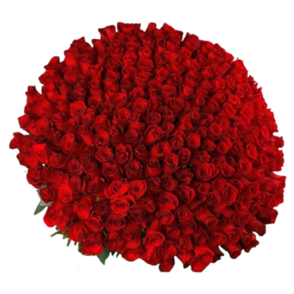 250 Red Roses Bouquet | Valentines Day Flowers