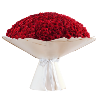 365 Red Roses Cream Bouquet | Valentines Day Flowers