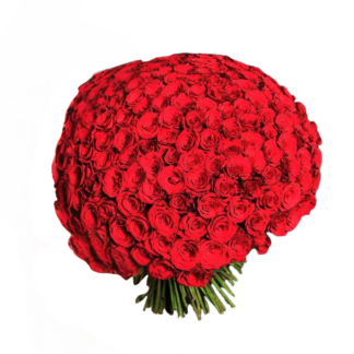 300 Red Roses Bouquet | Valentines Day Flowers
